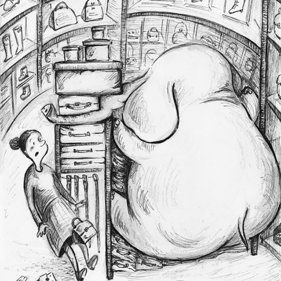 Elephant hiding in the store