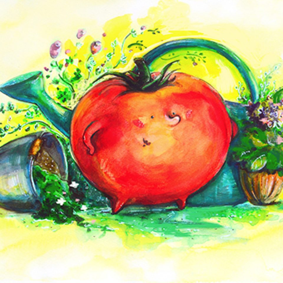 Miss Tomato